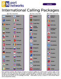 Port Networks international calling plans