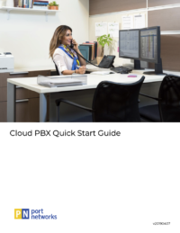 Port Networks Quick Start Guide for VoIP